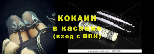 ешки Алексин