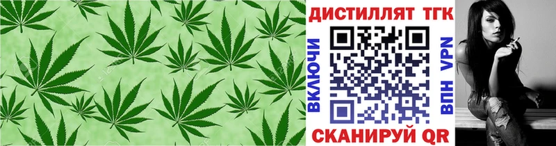 Дистиллят ТГК гашишное масло где продают наркотики Новочеркасск