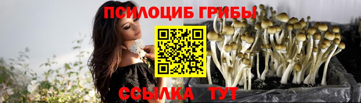 Новочеркасск  Псилоцибиновые грибы GOLDEN TEACHER  Вход с VPN 