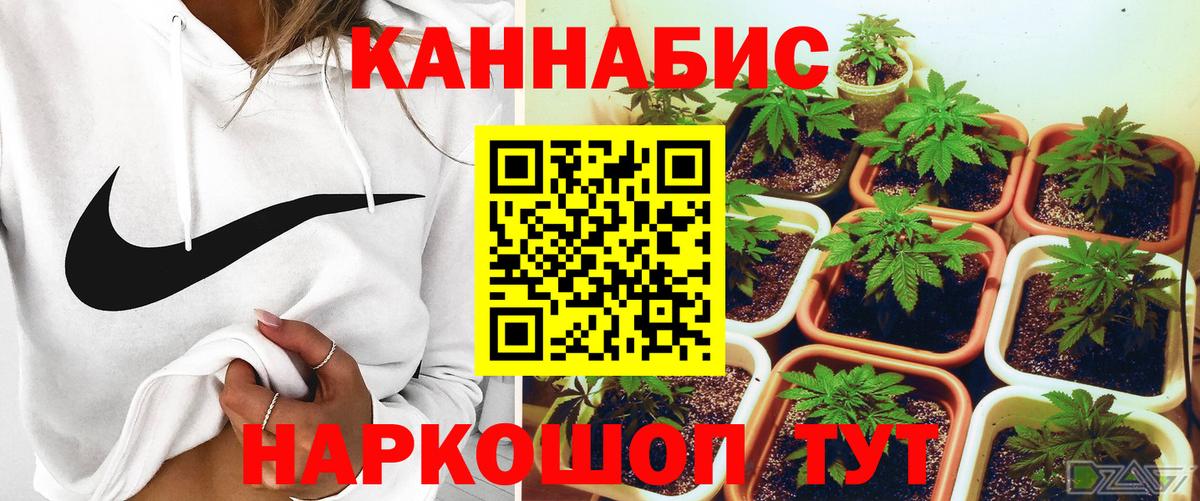 Новочеркасск  Марихуана MAZAR  Вход с VPN  Каннабис индика 